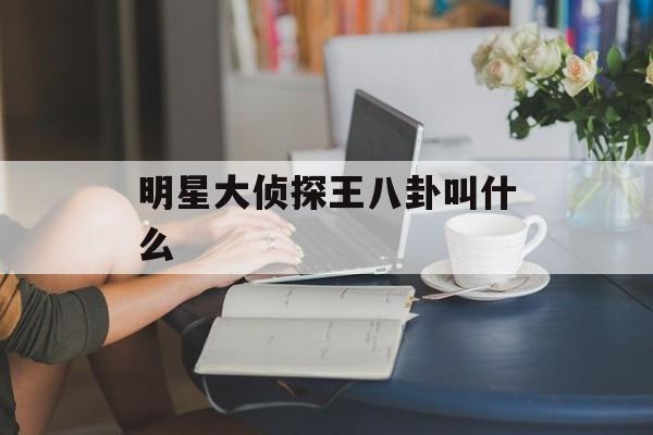 明星大侦探王八卦叫什么