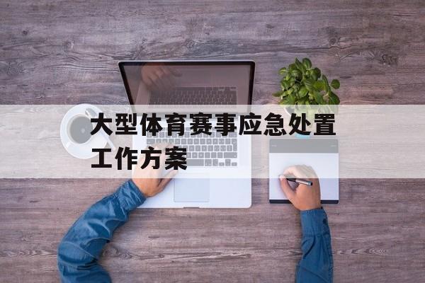 大型体育赛事应急处置工作方案